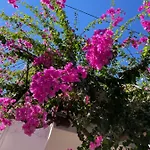 Halkidiki Greek Pride Seafront Hotel