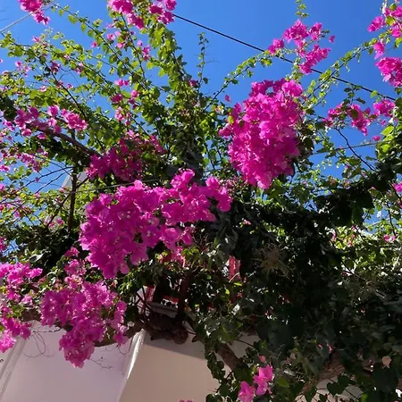 Halkidiki Greek Pride Seafront מלון