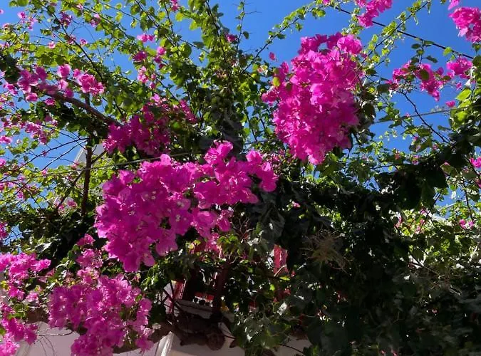 Halkidiki Greek Pride Seafront Hotel