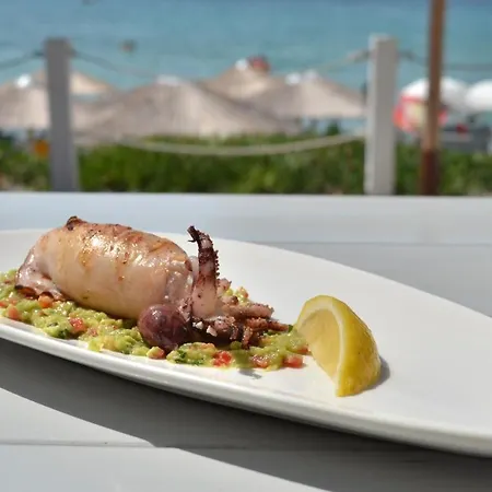 Halkidiki Greek Pride Seafront 4* Скала-Фуркас